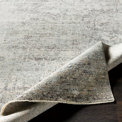 Surya Presidential PDT-2303 Ice Blue Area Rug by LIVABLISS