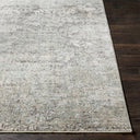 Surya Presidential PDT-2303 Ice Blue Area Rug by LIVABLISS