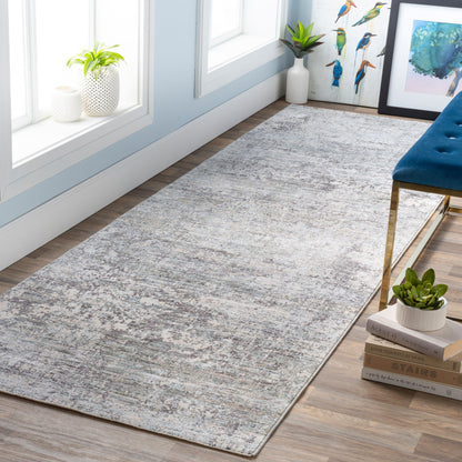 Surya Presidential PDT-2303 Ice Blue Area Rug by LIVABLISS