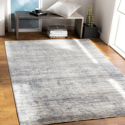 Surya Presidential PDT-2308 Gray Area Rug by LIVABLISS