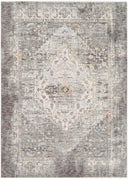 Surya Presidential PDT-2311 Gray Area Rug by LIVABLISS