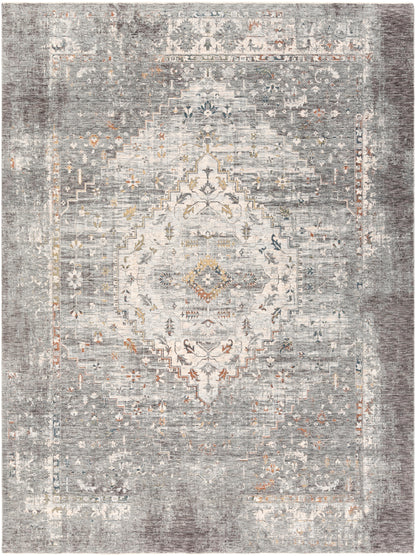 Surya Presidential PDT-2311 Gray Area Rug by LIVABLISS