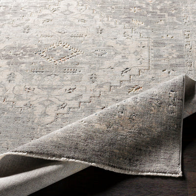 Surya Presidential PDT-2311 Gray Area Rug by LIVABLISS