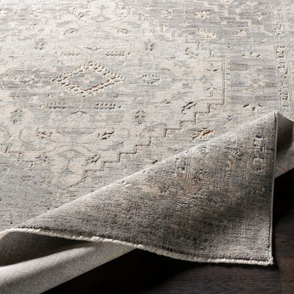 Surya Presidential PDT-2311 Gray Area Rug by LIVABLISS