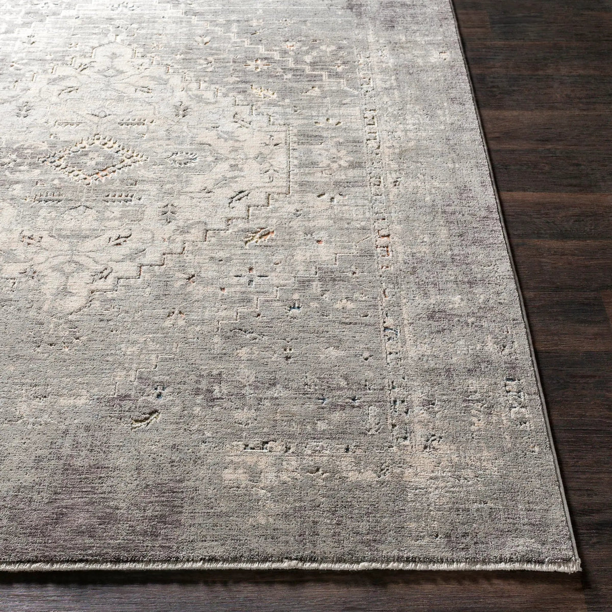 Presidential PDT-2311 Dusty-Sage Area Rug by LIVABLISS