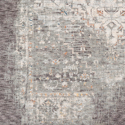 Surya Presidential PDT-2311 Gray Area Rug by LIVABLISS