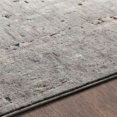 Surya Presidential PDT-2311 Gray Area Rug by LIVABLISS