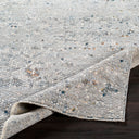 Surya Presidential PDT-2312 Sage Area Rug by LIVABLISS