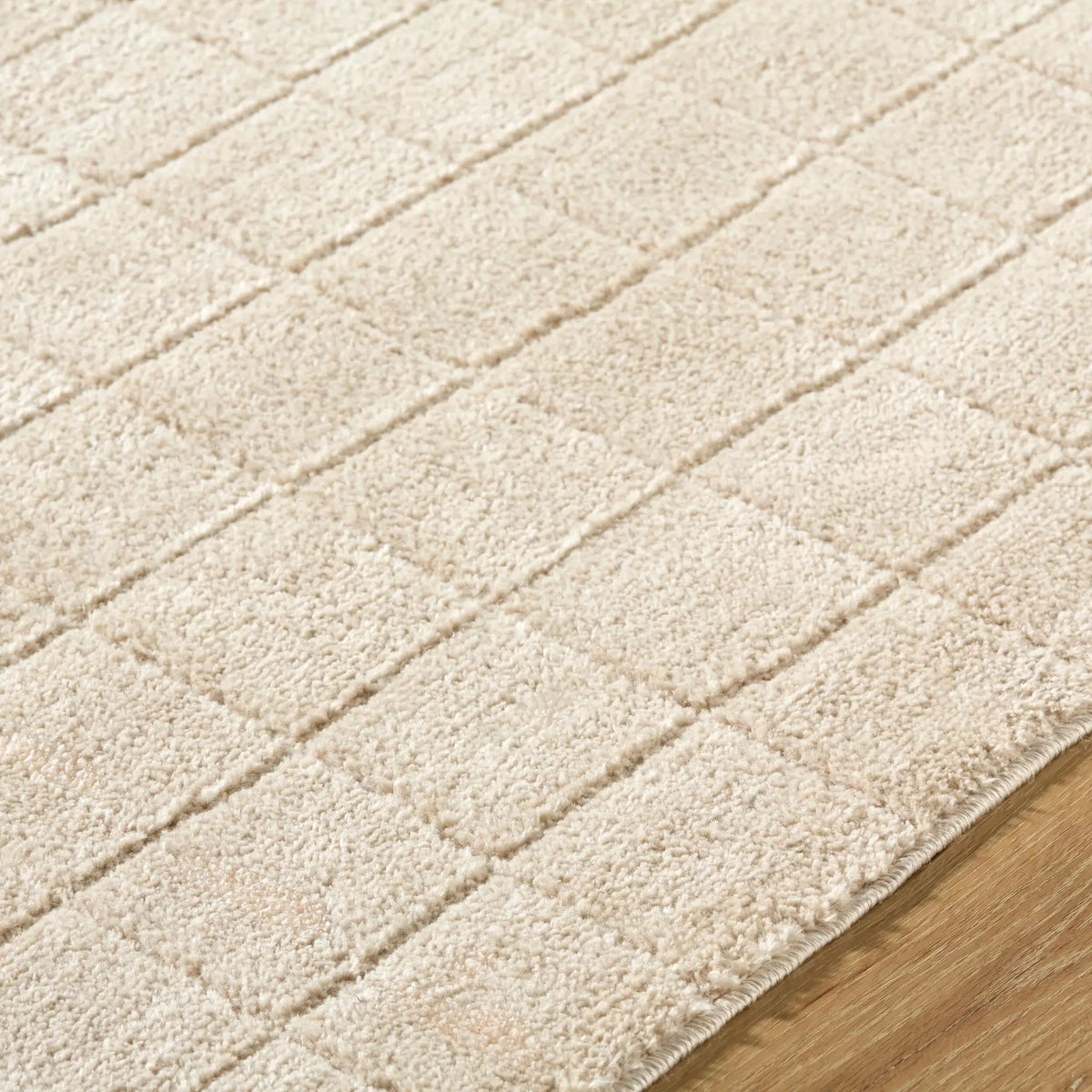 Cascade PNWCS-2304 Light-Beige Area Rug by Our PNW Home x LIVABLISS