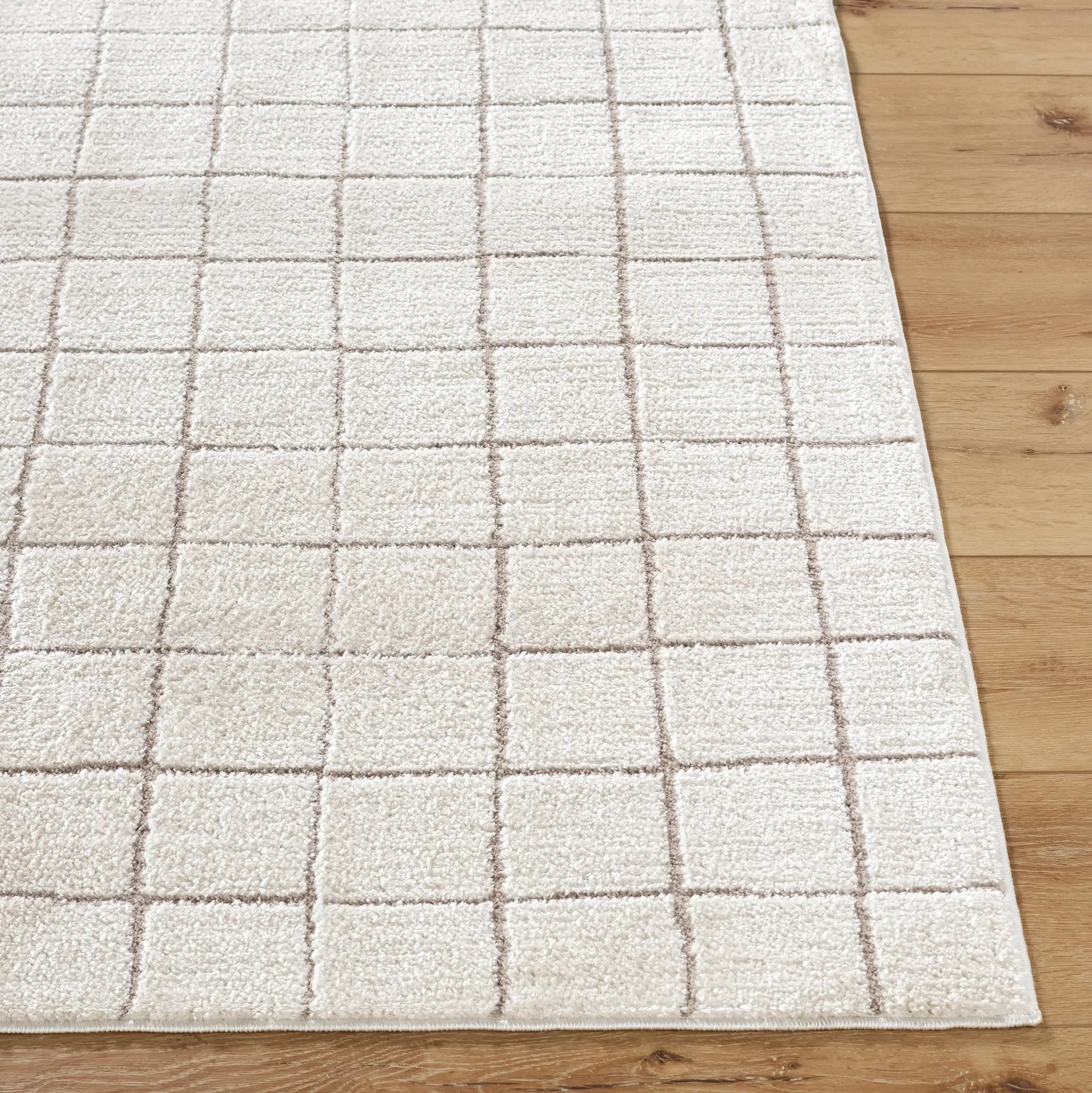 Cascade PNWCS-2305 Ivory Area Rug by Our PNW Home x LIVABLISS