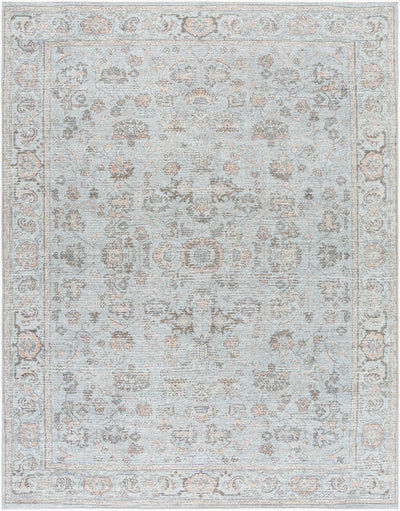 Our PNW Home x LIVABLISS Olympic PNWOL-2303 Sky Blue Area Rug