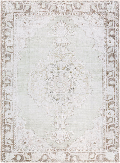 Rainier PNWRN-2300 Light-Sage Area Rug