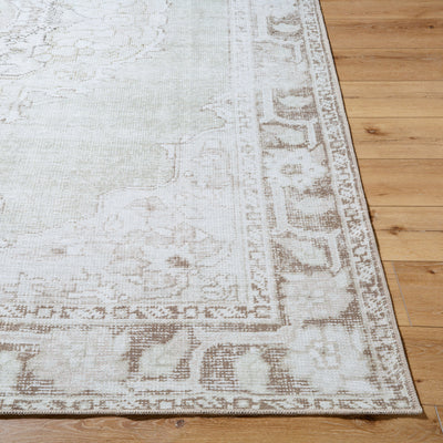 Rainier PNWRN-2300 Light-Sage Area Rug