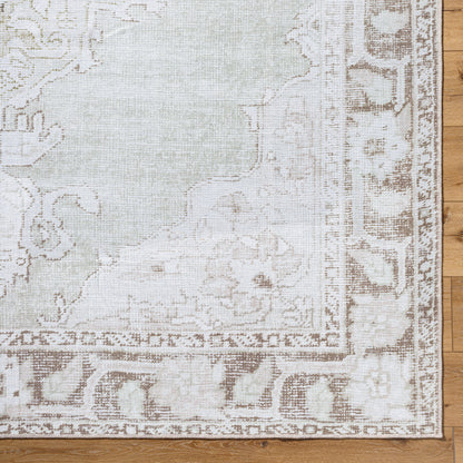 Rainier PNWRN-2300 Light-Sage Area Rug