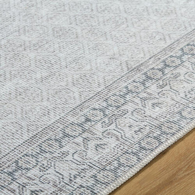 Rainier PNWRN-2308 Off-White Area Rug