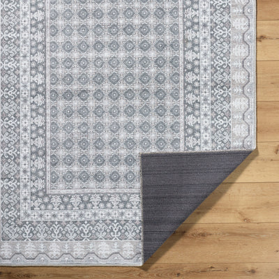 Rainier PNWRN-2311 Sage Area Rug