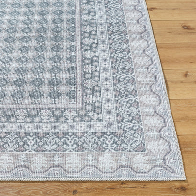 Rainier PNWRN-2311 Sage Area Rug