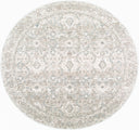 Livabliss Poetry POI-2304 Light Slate Area Rug by LIVABLISS