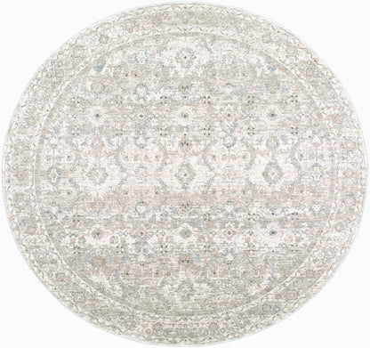 Livabliss Poetry POI-2304 Light Slate Area Rug by LIVABLISS