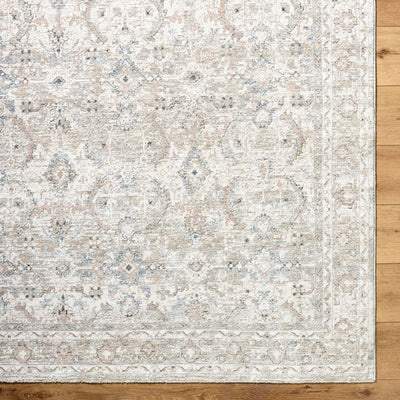 Livabliss Poetry POI-2304 Light Slate Area Rug by LIVABLISS