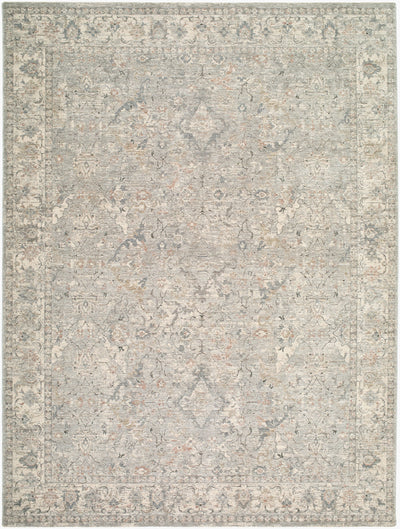 Livabliss Poetry POI-2309 Slate Area Rug