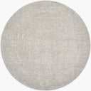 Surya Poet POT-2302 Light Slate Area Rug by LIVABLISS