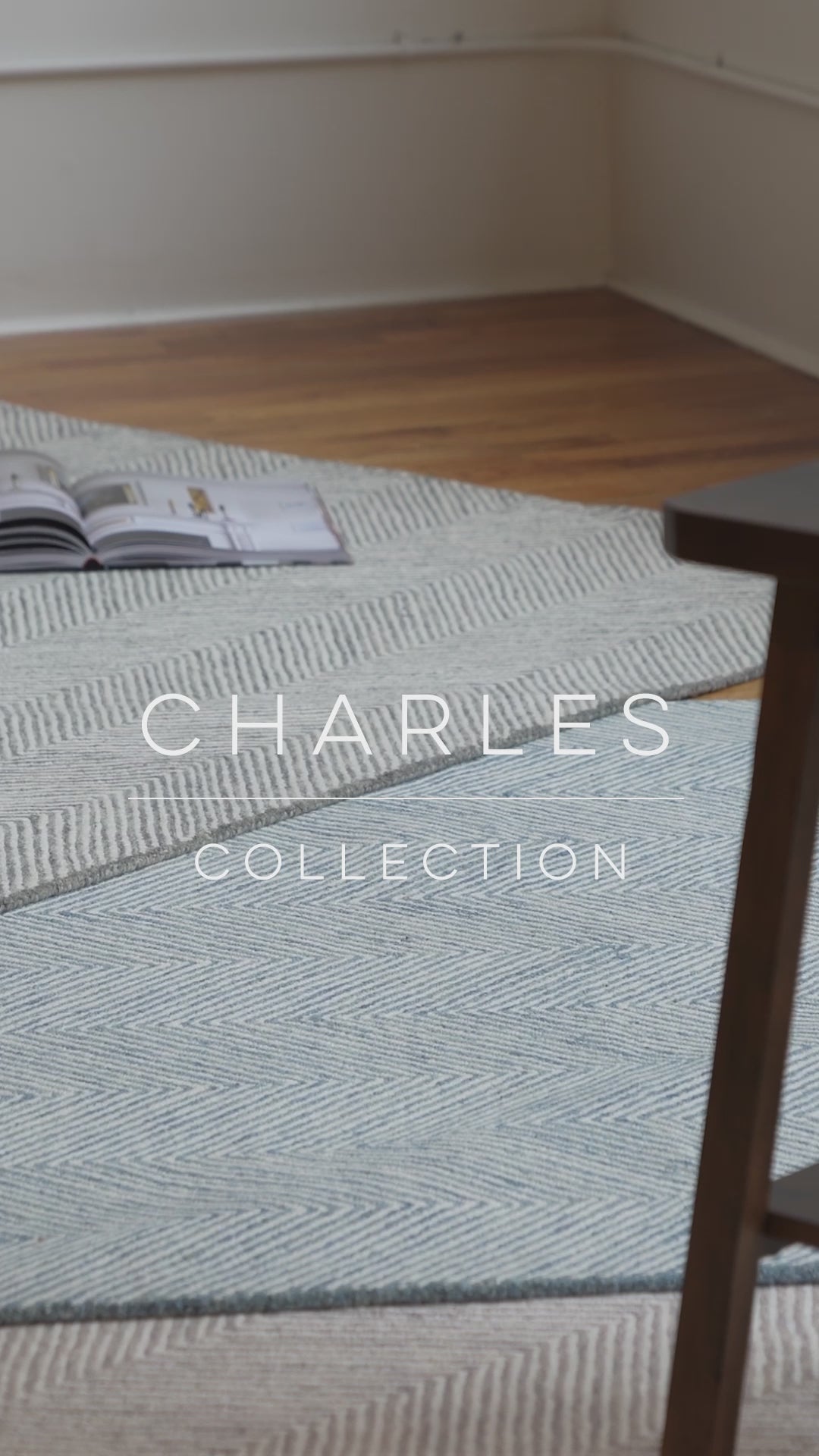 Load video: Momeni Charles Area Rug Collection