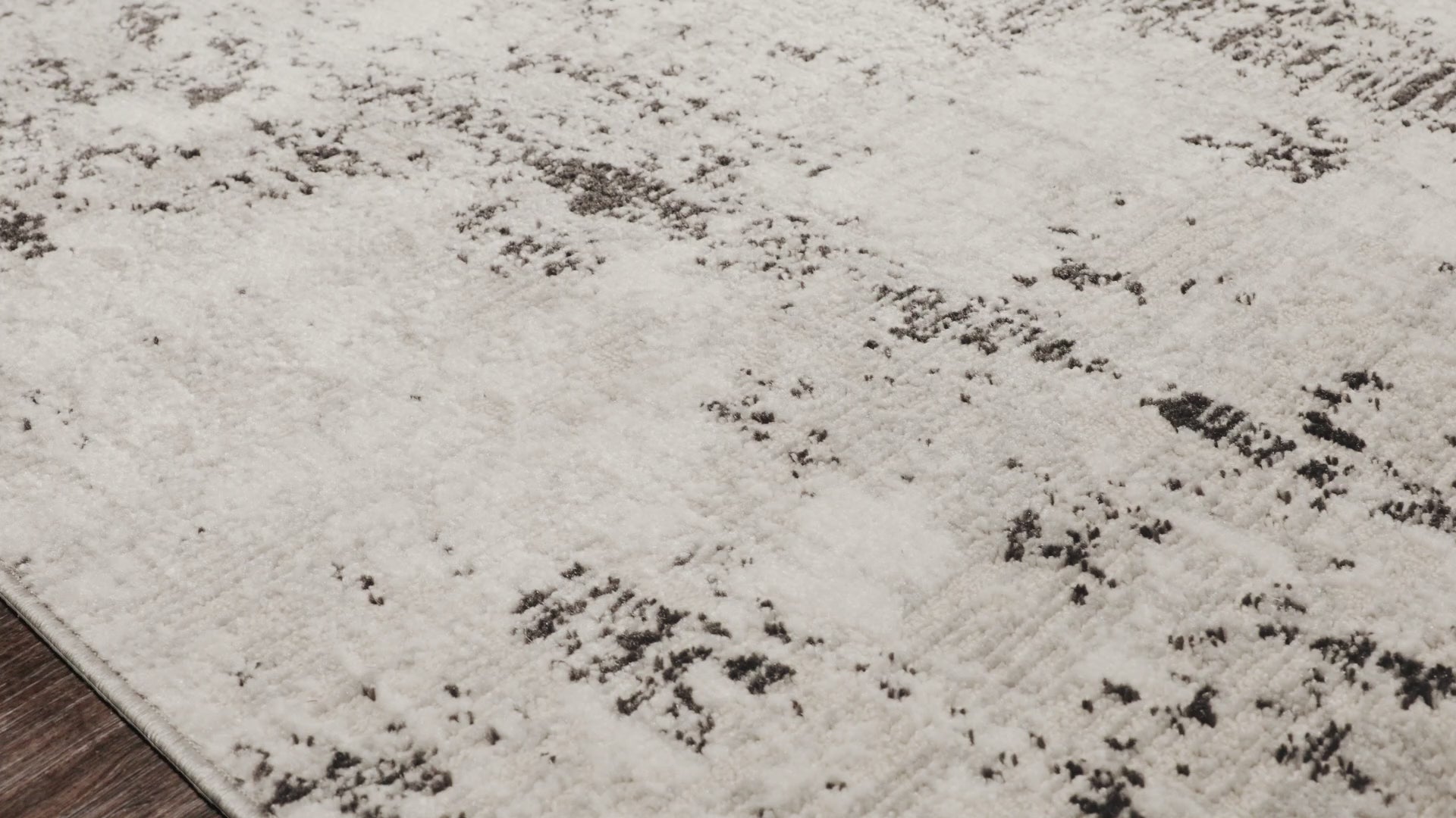 Loloi Alchemy ALC-04 Silver / Graphite Area Rug