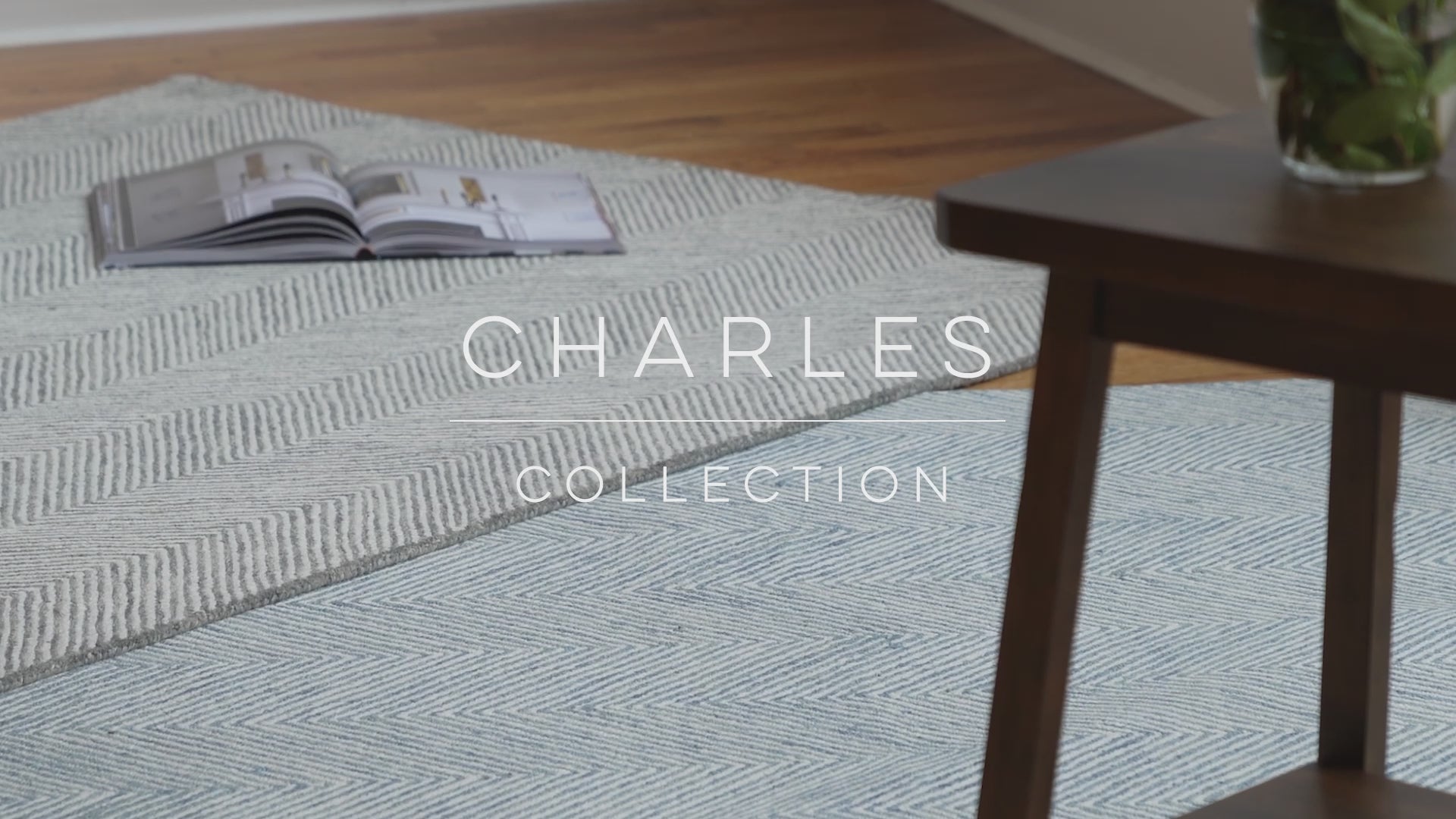 Load video: Momeni Charles Area Rug Collection