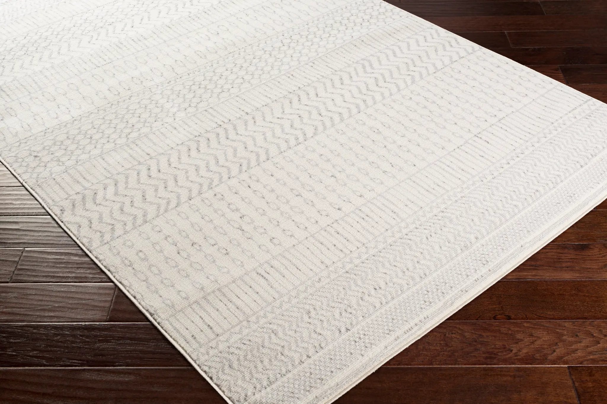 Pisa PSS-2301 Gray Area Rug by LIVABLISS