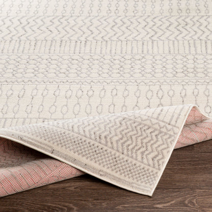 Surya Pisa PSS-2301 Gray Area Rug by LIVABLISS