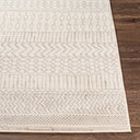 Surya Pisa PSS-2301 Gray Area Rug by LIVABLISS