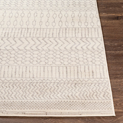 Surya Pisa PSS-2301 Gray Area Rug by LIVABLISS