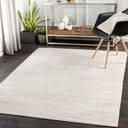 Surya Pisa PSS-2301 Gray Area Rug by LIVABLISS