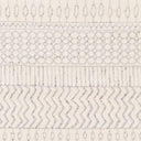 Surya Pisa PSS-2301 Gray Area Rug by LIVABLISS