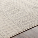 Surya Pisa PSS-2301 Gray Area Rug by LIVABLISS