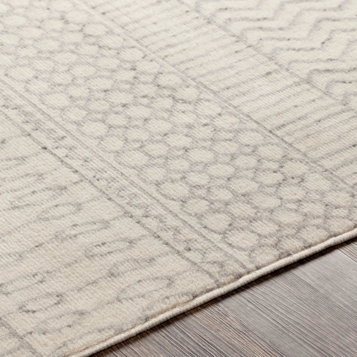 Pisa PSS-2301 Gray Area Rug by LIVABLISS