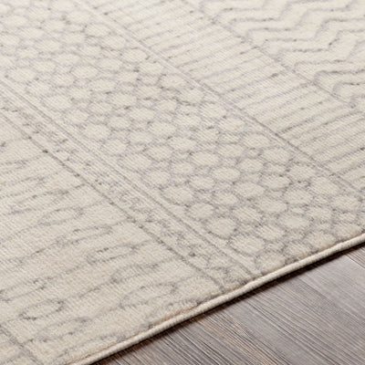 Surya Pisa PSS-2301 Gray Area Rug by LIVABLISS
