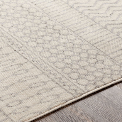 Surya Pisa PSS-2301 Gray Area Rug by LIVABLISS