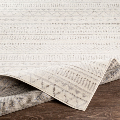 Surya Pisa PSS-2304 Medium Gray Area Rug by LIVABLISS