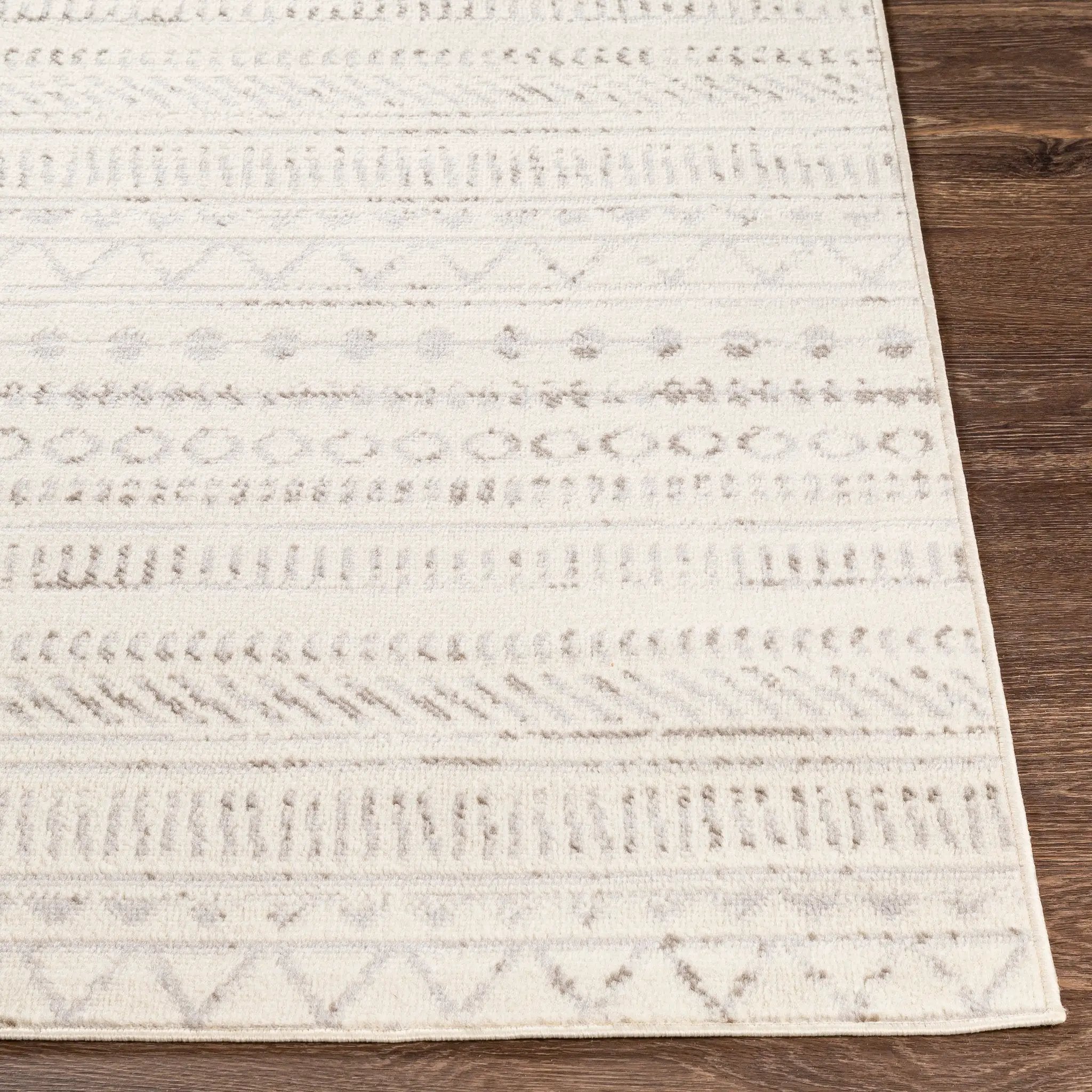 Pisa PSS-2304 Medium-Gray Area Rug by LIVABLISS