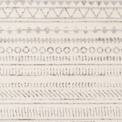 Surya Pisa PSS-2304 Medium Gray Area Rug by LIVABLISS