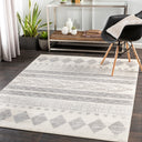 Surya Pisa PSS-2306 Medium Gray Area Rug by LIVABLISS