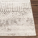 Surya Pisa PSS-2310 Charcoal Area Rug by LIVABLISS