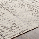Surya Pisa PSS-2310 Charcoal Area Rug by LIVABLISS