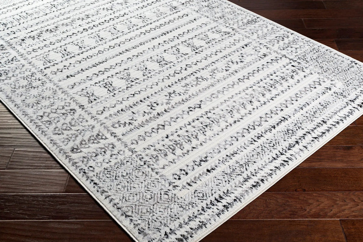 Pisa PSS-2313 Charcoal Area Rug by LIVABLISS