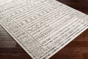 Surya Pisa PSS-2313 Charcoal Area Rug by LIVABLISS