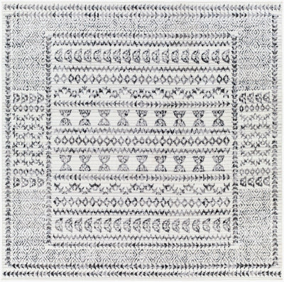 Surya Pisa PSS-2313 Charcoal Area Rug by LIVABLISS