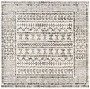 Surya Pisa PSS-2313 Charcoal Area Rug by LIVABLISS