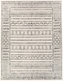 Surya Pisa PSS-2313 Charcoal Area Rug by LIVABLISS